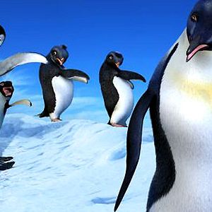 Bilder Happy Feet