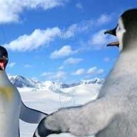 Bilder George Miller