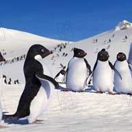 Bilder George Miller