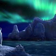 Bilder George Miller