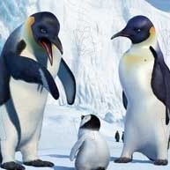 Bilder George Miller