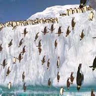 Bilder George Miller