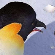 Bilder George Miller