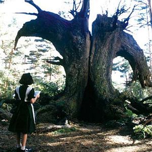 Bilder Ivana Baquero