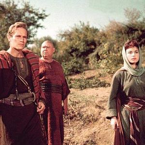 Bilder Haya Harareet