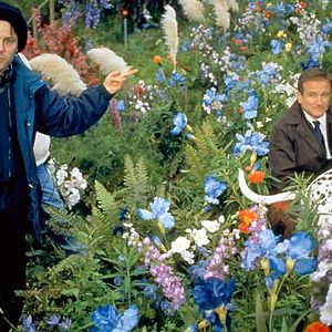 Bilder Hinter dem Horizont