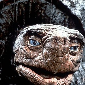 Bilder Die unendliche Geschichte