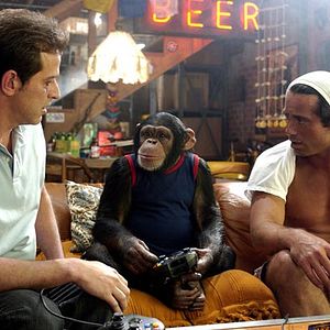 Bilder Nicholaus Goossen