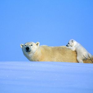 Bilder Thierry Ragobert