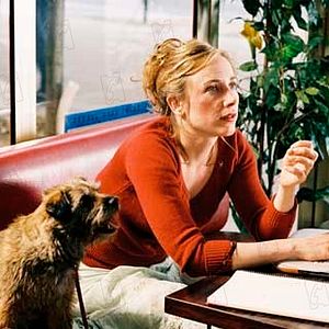 Bilder Julie Lopes Curval