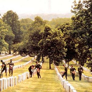 Bilder Der steinerne Garten