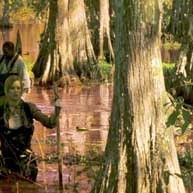 Bilder The Reaping - Die Boten der Apokalypse