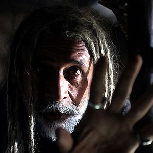 Bilder Valley of Flowers