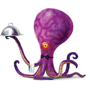 Bilder Stephen J. Anderson