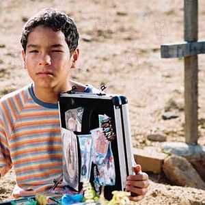 Bilder Alice de Andrade