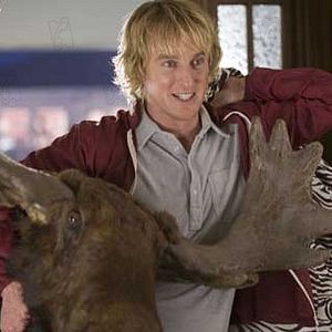 Bilder Owen Wilson