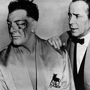 Bilder Schmutziger Lorbeer