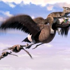 Bilder Steve Williams