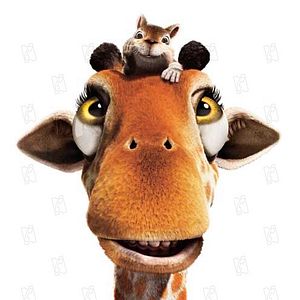 Bilder Steve Williams