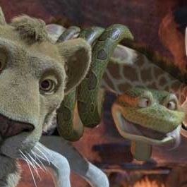 Bilder Steve Williams