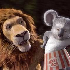 Bilder Steve Williams