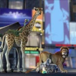 Bilder Steve Williams