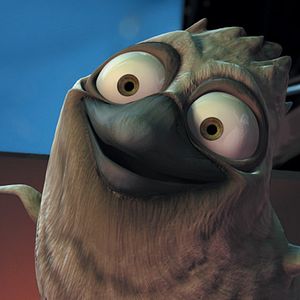 Bilder Michael Hegner