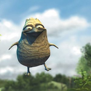 Bilder Michael Hegner