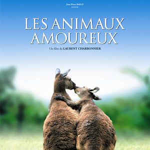 Bilder Animals In Love