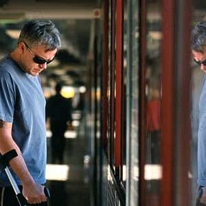 Bilder Das geheime Leben der Worte