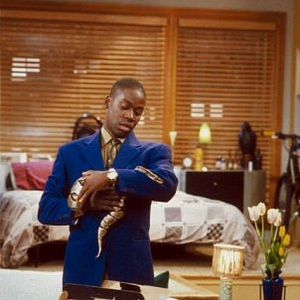 Bilder Daryl Mitchell