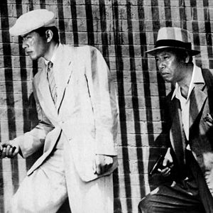 Bilder Ein herrenloser Hund