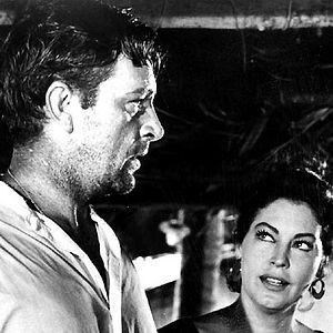 Bilder Die Nacht des Leguan