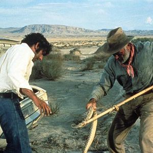 Bilder Fluchtpunkt San Francisco