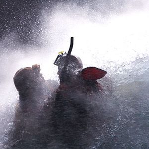 Bilder Ashton Kutcher