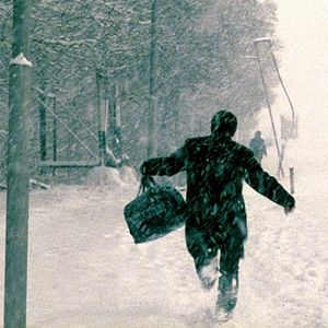 Bilder It's Winter - Zemestan