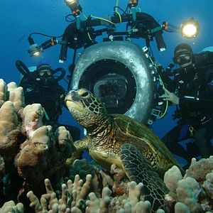 Bilder IMAX: Wunder der Tiefe 3D