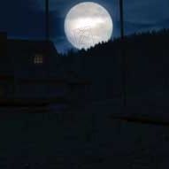 Bilder Courtney Solomon