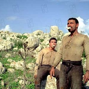 Bilder Vincenzo Amato