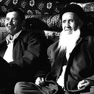 Bilder 37 Uses For A Dead Sheep