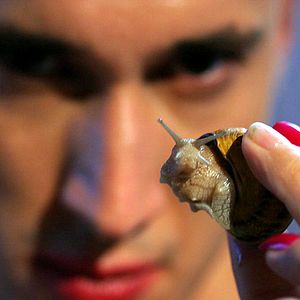 Bilder Grégoire Colin