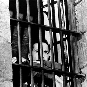 Bilder Anatomie eines Mordes