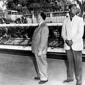 Bilder Alfred Hitchcock