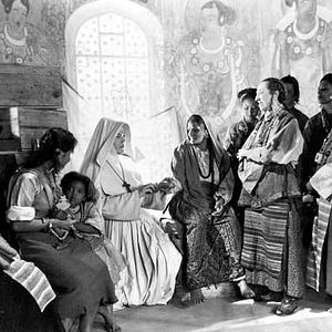 Bilder Die Schwarze Narzisse