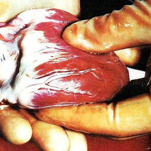 Bilder Jacqueline Veuve