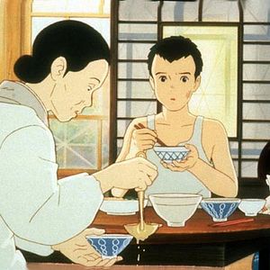 Bilder Die letzten Glühwürmchen