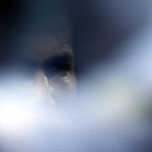 Bilder Zidane - Ein Porträt im 21. Jahrhundert