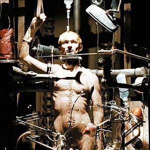 Bilder György Pálfi