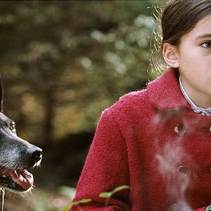 Bilder Alba Gaia Bellugi