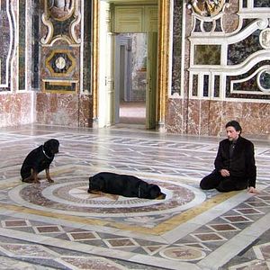 Bilder Marco Bellocchio